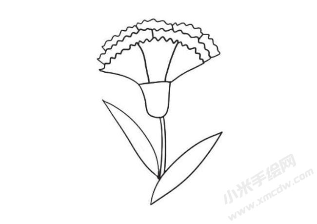 康乃馨簡(jiǎn)筆畫法步驟08.jpg