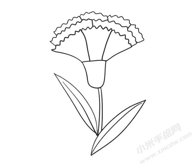 康乃馨簡(jiǎn)筆畫法步驟09.jpg