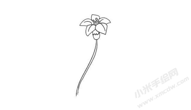 水仙花簡(jiǎn)筆畫(huà)法步驟02.jpg