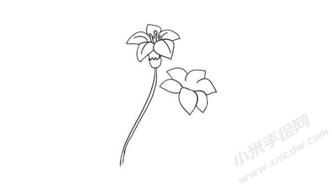 水仙花簡(jiǎn)筆畫(huà)法步驟03.jpg