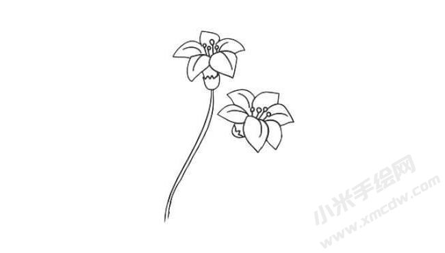 水仙花簡(jiǎn)筆畫(huà)法步驟04.jpg