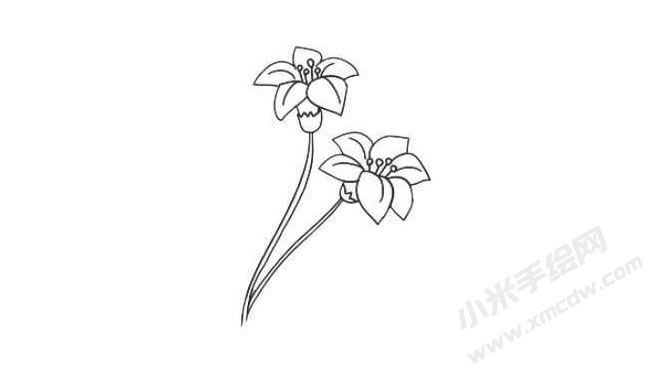 水仙花簡(jiǎn)筆畫(huà)法步驟05.jpg