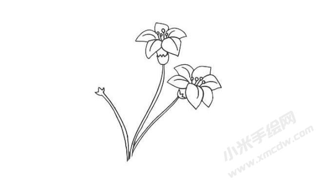 水仙花簡(jiǎn)筆畫(huà)法步驟06.jpg