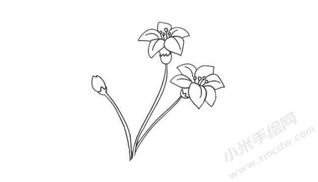 水仙花簡(jiǎn)筆畫(huà)法步驟07.jpg