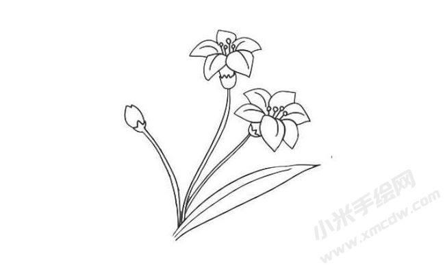 水仙花簡(jiǎn)筆畫(huà)法步驟08.jpg