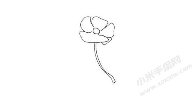 虞美人簡(jiǎn)筆畫法步驟03.jpg