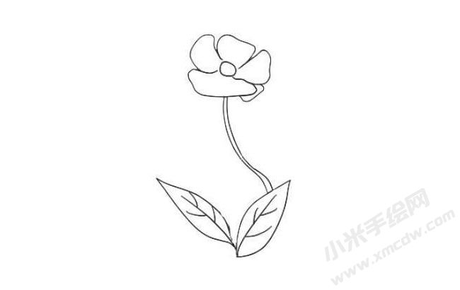 虞美人簡(jiǎn)筆畫法步驟05.jpg