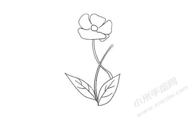 虞美人簡(jiǎn)筆畫法步驟06.jpg