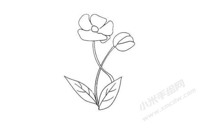 虞美人簡(jiǎn)筆畫法步驟07.jpg