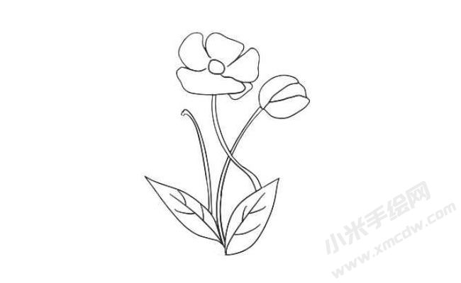 虞美人簡(jiǎn)筆畫法步驟08.jpg