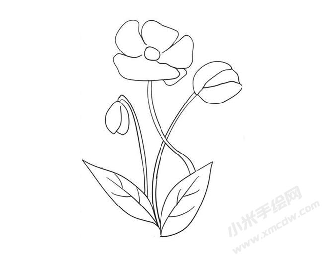 虞美人簡(jiǎn)筆畫法步驟09.jpg