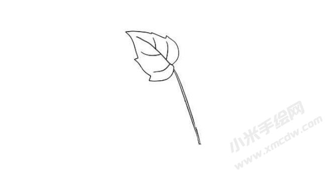 花葉秋海棠簡(jiǎn)筆畫(huà)法步驟02.jpg