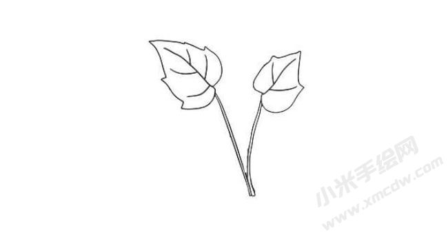 花葉秋海棠簡(jiǎn)筆畫(huà)法步驟03.jpg
