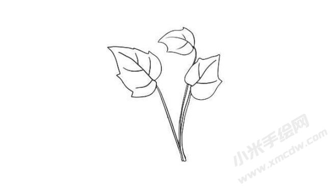 花葉秋海棠簡(jiǎn)筆畫(huà)法步驟04.jpg