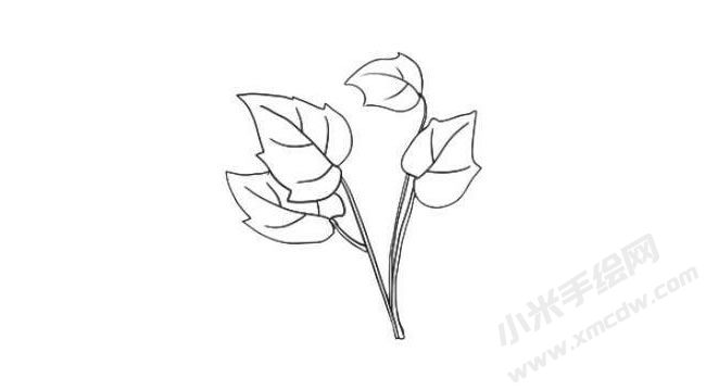 花葉秋海棠簡(jiǎn)筆畫(huà)法步驟05.jpg