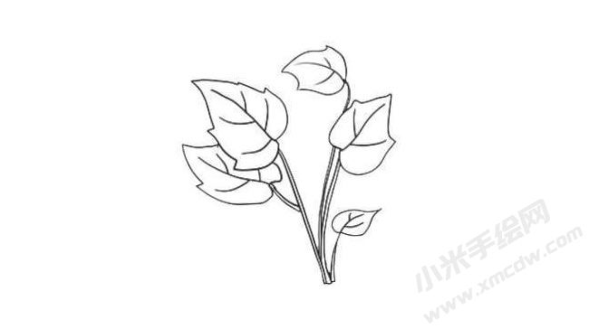 花葉秋海棠簡(jiǎn)筆畫(huà)法步驟06.jpg