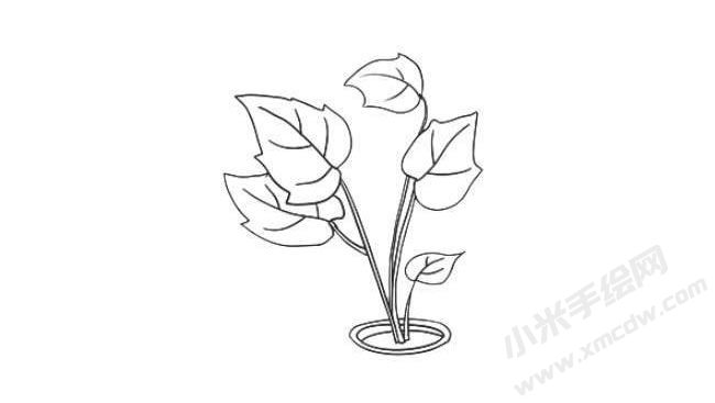 花葉秋海棠簡(jiǎn)筆畫(huà)法步驟07.jpg