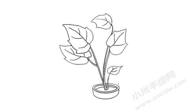 花葉秋海棠簡(jiǎn)筆畫(huà)法步驟08.jpg