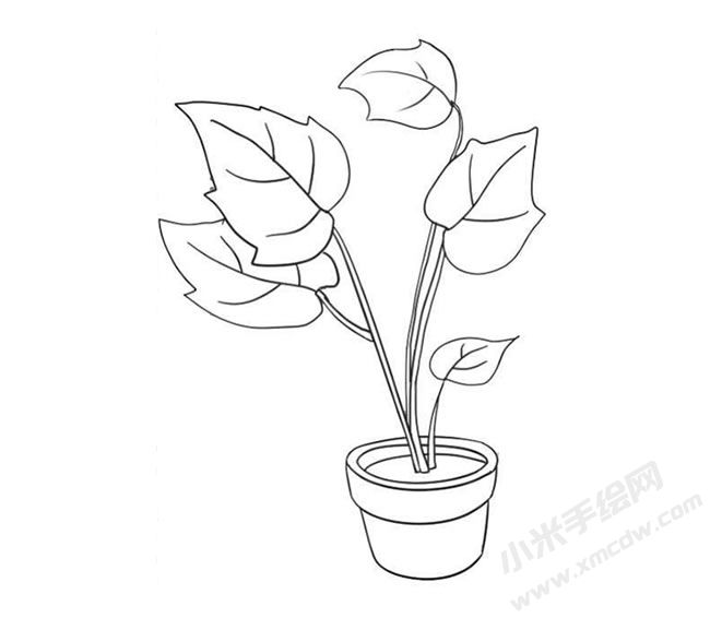 花葉秋海棠簡(jiǎn)筆畫(huà)法步驟09.jpg