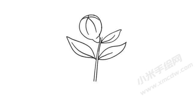 石榴花簡筆畫法步驟04.jpg