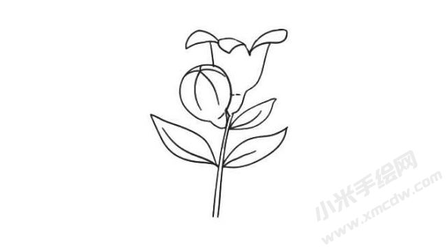 石榴花簡筆畫法步驟05.jpg