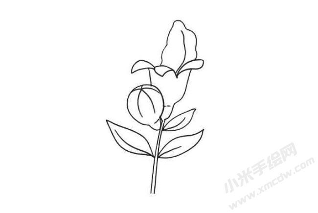 石榴花簡筆畫法步驟06.jpg