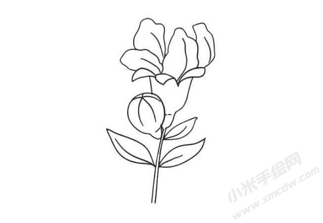 石榴花簡筆畫法步驟08.jpg