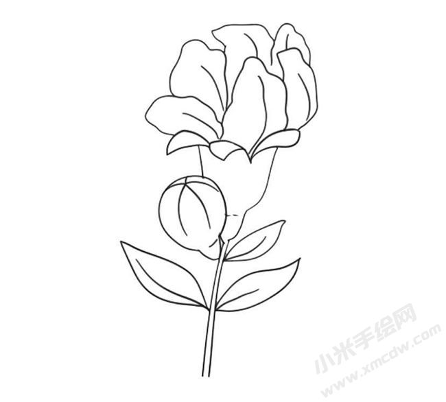 石榴花簡筆畫法步驟09.jpg