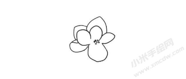 茉莉花簡(jiǎn)筆畫法步驟02.jpg