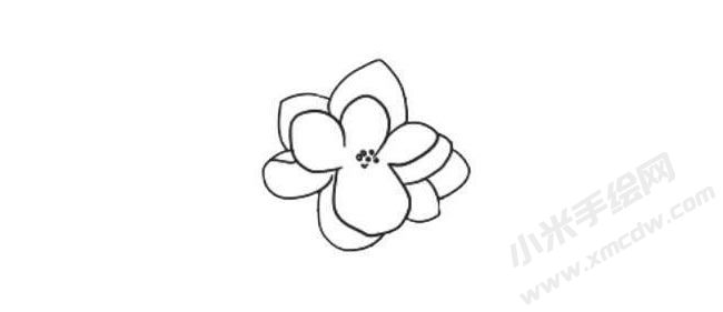 茉莉花簡(jiǎn)筆畫法步驟03.jpg