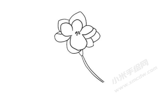 茉莉花簡(jiǎn)筆畫法步驟04.jpg