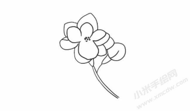 茉莉花簡(jiǎn)筆畫法步驟05.jpg