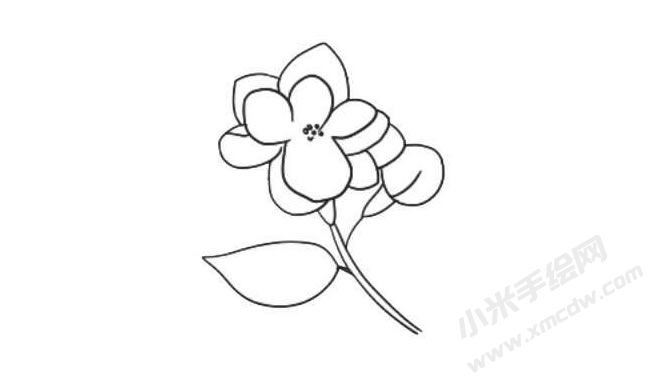 茉莉花簡(jiǎn)筆畫法步驟06.jpg