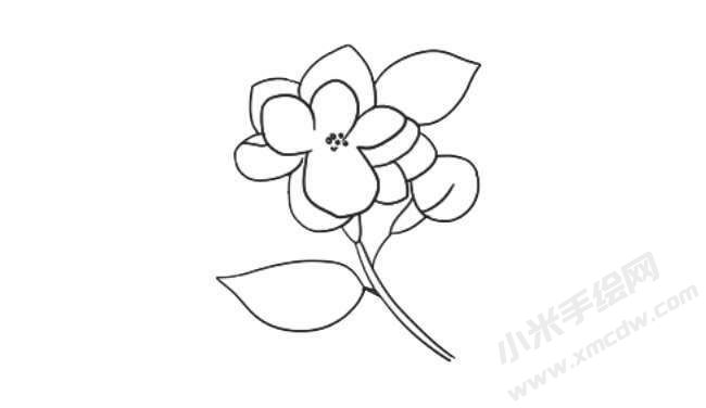 茉莉花簡(jiǎn)筆畫法步驟07.jpg