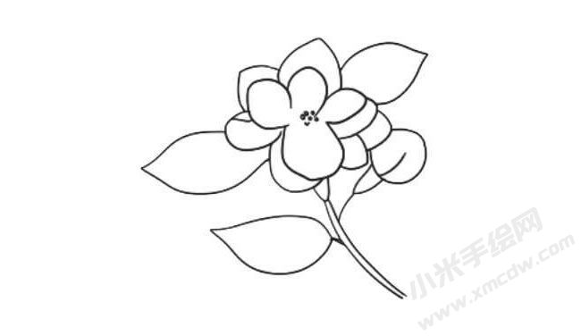 茉莉花簡(jiǎn)筆畫法步驟08.jpg