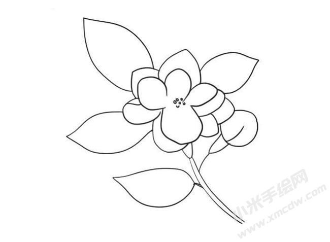 茉莉花簡(jiǎn)筆畫法步驟09.jpg