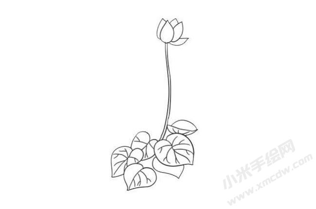 仙客來(lái)簡(jiǎn)筆畫法步驟06.jpg