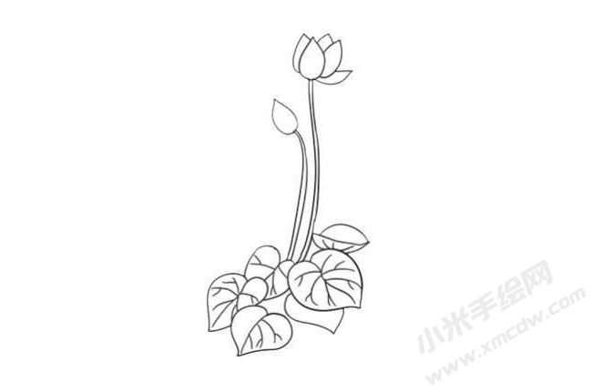 仙客來(lái)簡(jiǎn)筆畫法步驟07.jpg