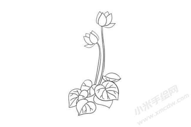 仙客來(lái)簡(jiǎn)筆畫法步驟08.jpg