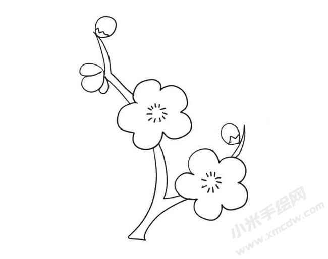 梅花簡筆畫法步驟09.jpg