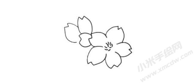 櫻花簡筆畫法步驟02.jpg