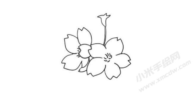 櫻花簡筆畫法步驟04.jpg