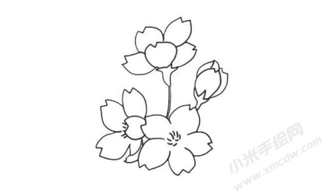 櫻花簡筆畫法步驟06.jpg