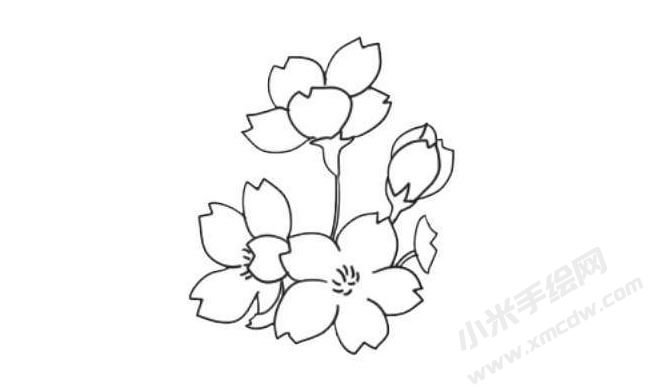 櫻花簡筆畫法步驟07.jpg