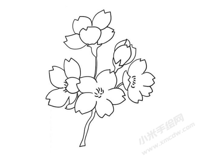 櫻花簡筆畫法步驟09.jpg