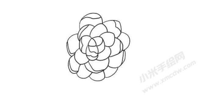 山茶花簡筆畫法步驟05.jpg