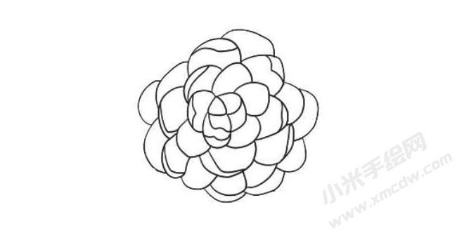 山茶花簡筆畫法步驟06.jpg
