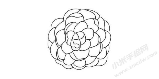 山茶花簡筆畫法步驟07.jpg
