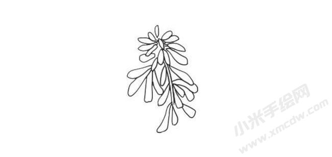 一串紅簡(jiǎn)筆畫法步驟04.jpg