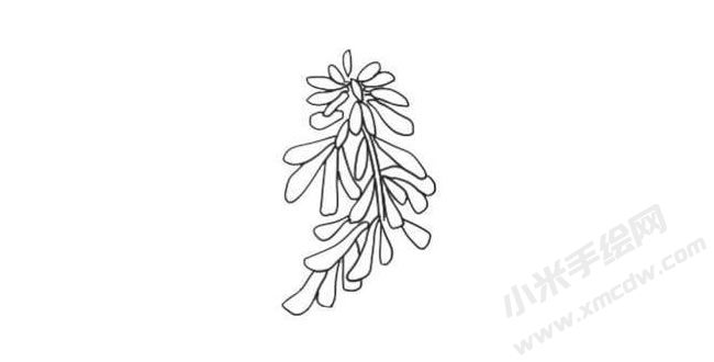 一串紅簡(jiǎn)筆畫法步驟05.jpg
